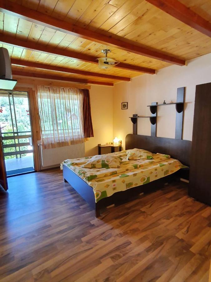 Pensión Pensiunea Casa Soarelui Podu Dimbovitei