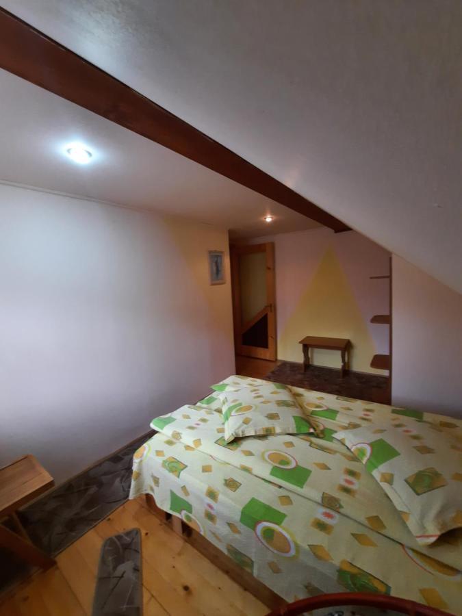Pensión Pensiunea Casa Soarelui